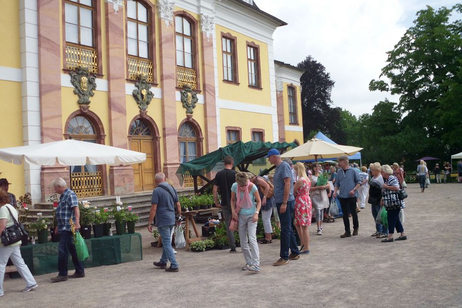 Pflanzenbörse Belvedere