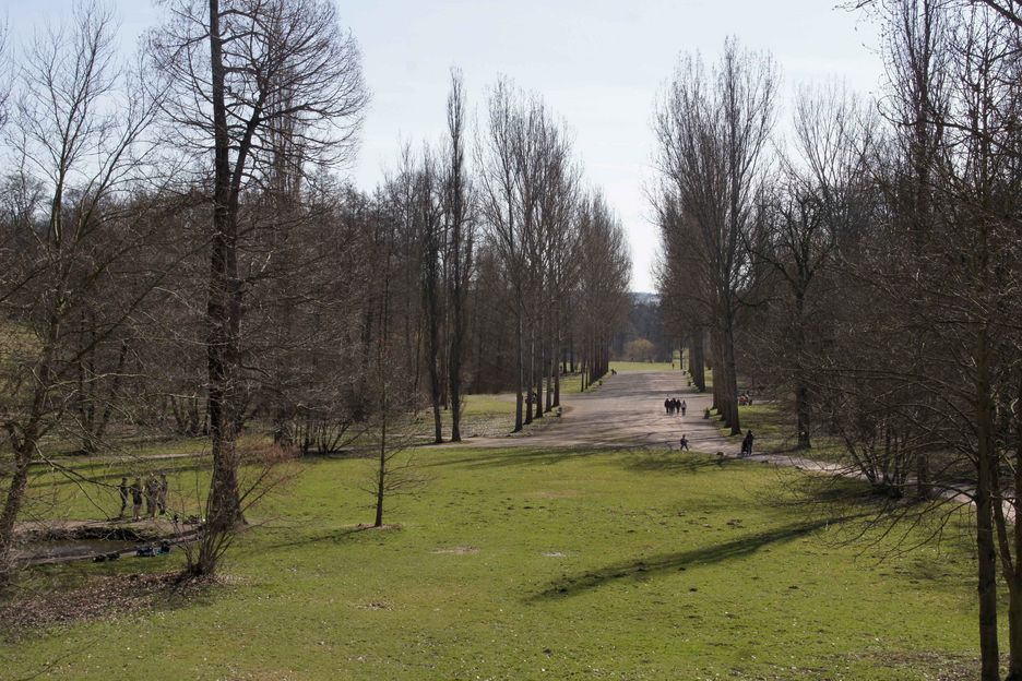 Der Stern im Park an der Ilm (Foto: F. Bleicher)