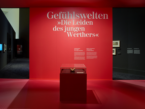 Chapter 2: Emotions. "The Sorrows of Young Werther"