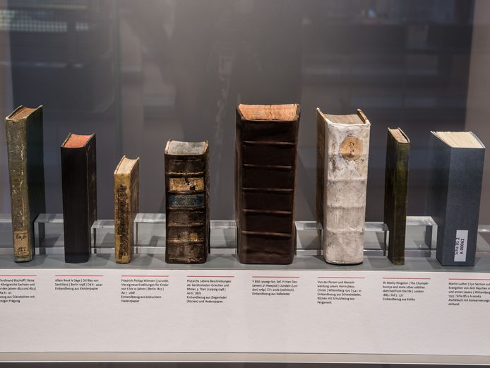 Die Fotografie zeigt eine Vitrine aus der Ausstellung "Restaurieren nach dem Brand - Die Rettung der Bücher der Herzogin Anna Amalia Bibliothek". Zu sehen sind acht Bücher, deren Einbände nach dem Brand restauriert wurden.