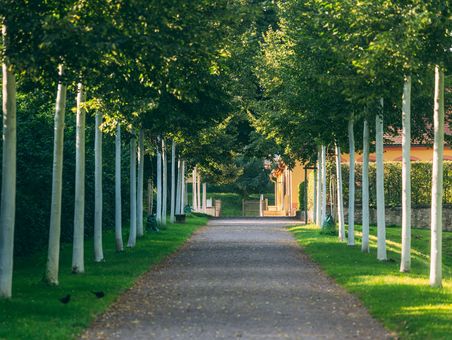 Wieland Estate in Oßmannstedt Tree-lined path leading to a yellow building and gate