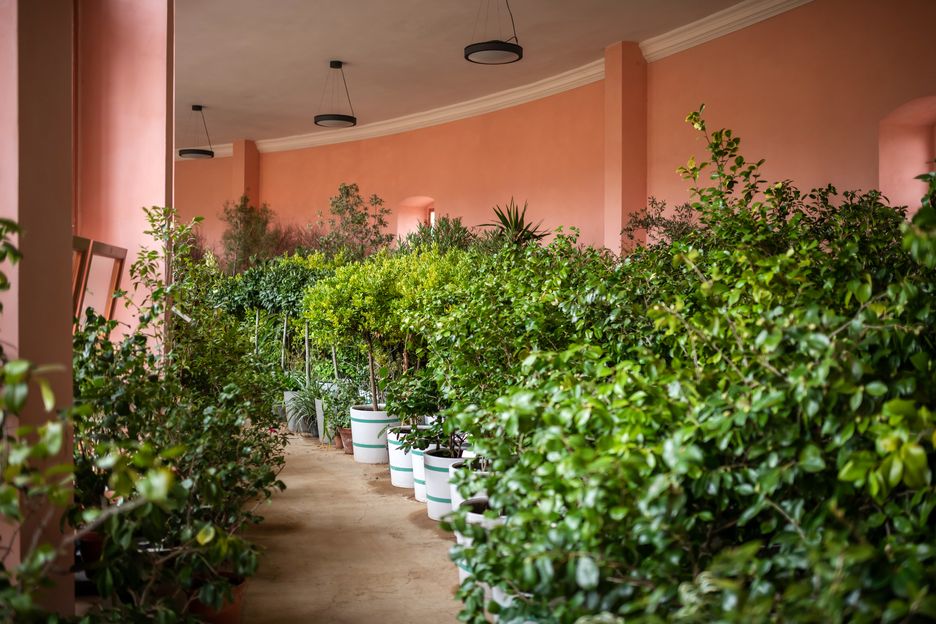 Orangerie Belvedere, Klassik Stiftung Weimar