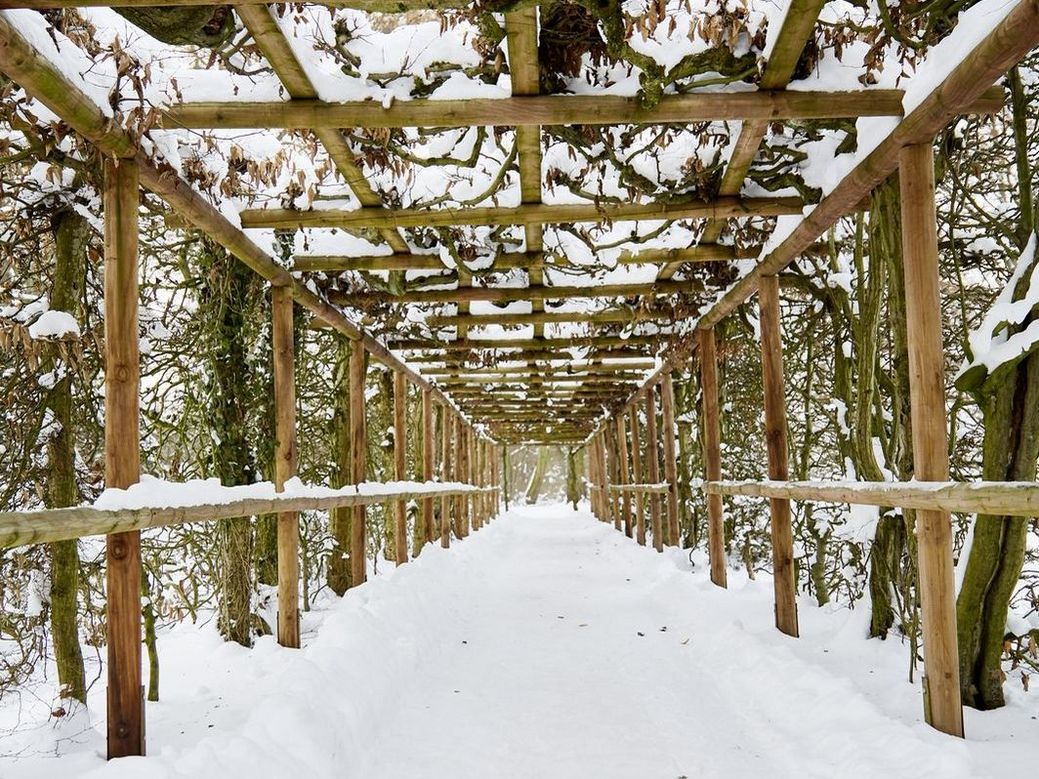 Blick auf einen geraden eingeschneiten Weg unter einem Holzgerüst.