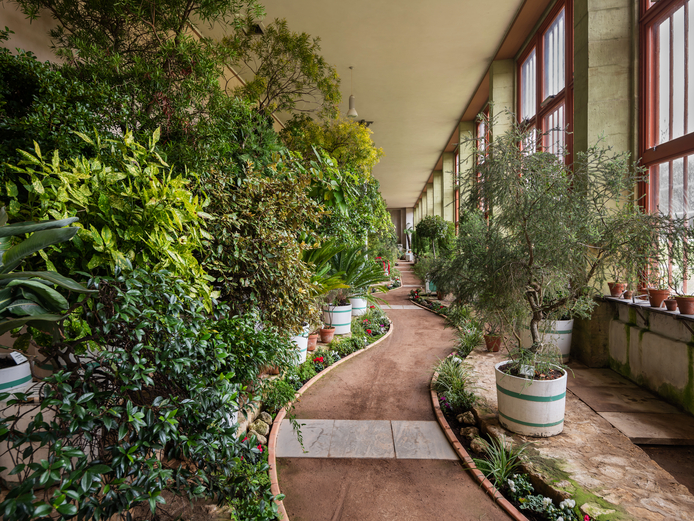 Schloss und Park Belvedere, Orangerie Weg durch das Lange Haus der Orangerie