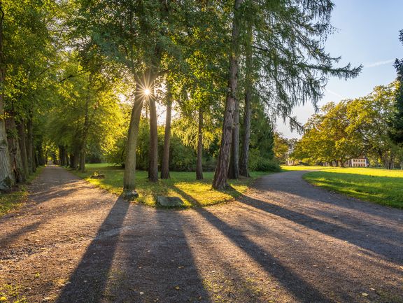 Parkwege im Abendlicht