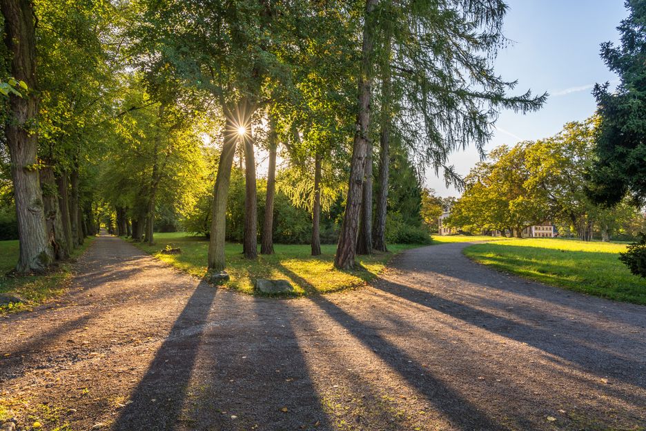Schloss und Park Belvedere Parkwege im Abendlicht