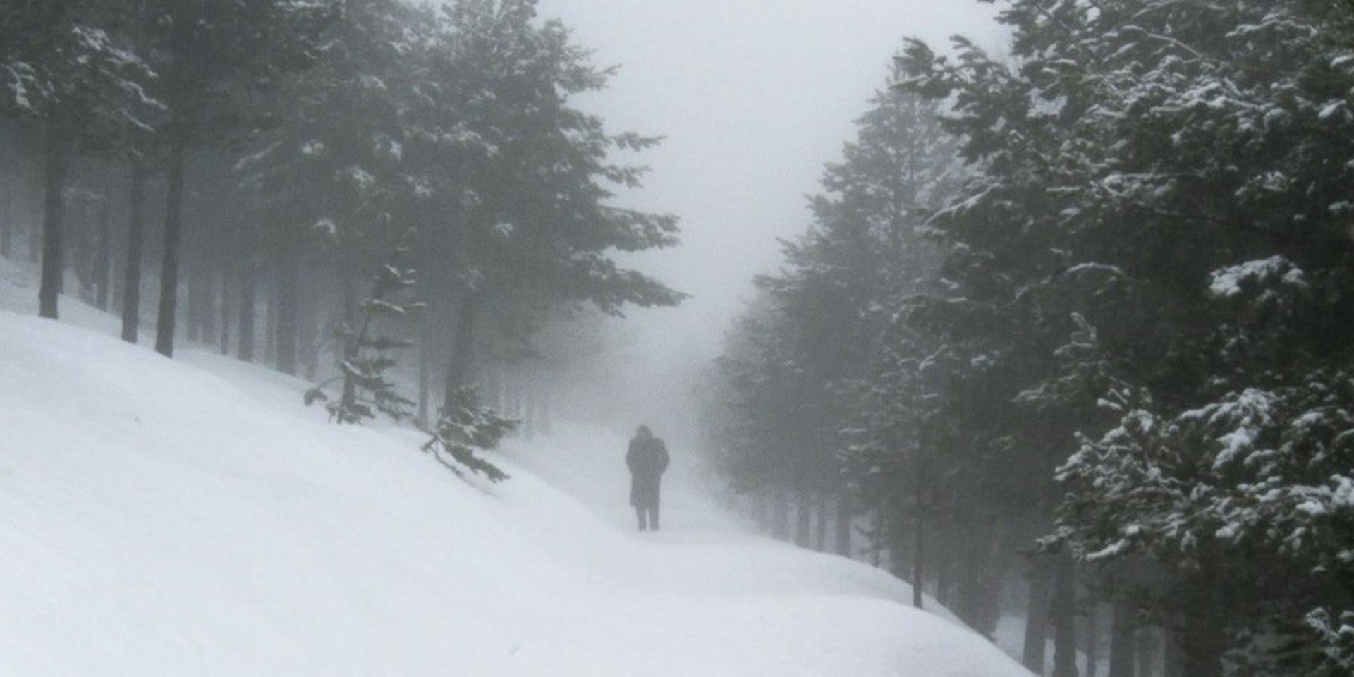 Evaders von Ori Gersht winterliche Landschaft mit einer dunkel gekleideten Person in der Bildmitte, den Weg umsäumen links und rechts Nadelbäume