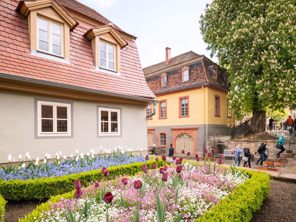Blick auf Haus und Garten