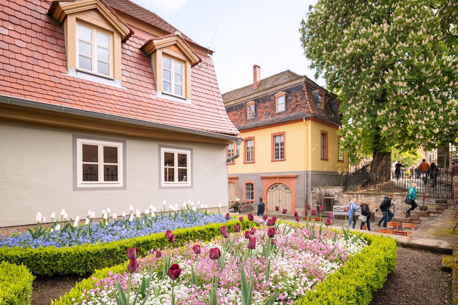Wittumspalais Blick auf Haus und Garten
