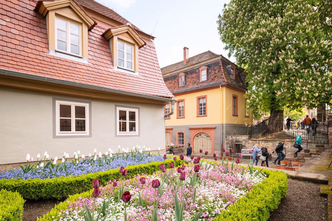 Blick auf Haus und Garten