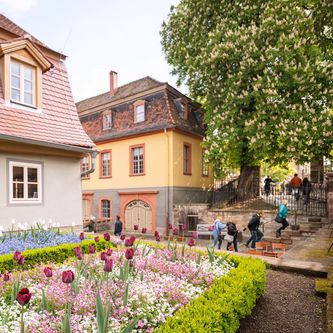 Blick auf Haus und Garten
