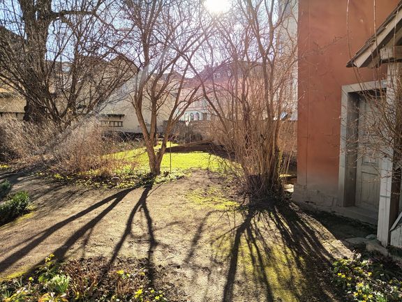 Bereich der zukünftigen Vermittlungsfläche zu Goethes botanischer Forschung neben dem Gartenpavillon