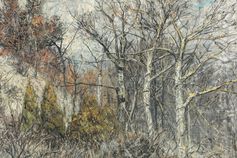 Künstler: Rohlfs, Christian (1849 - 1938)