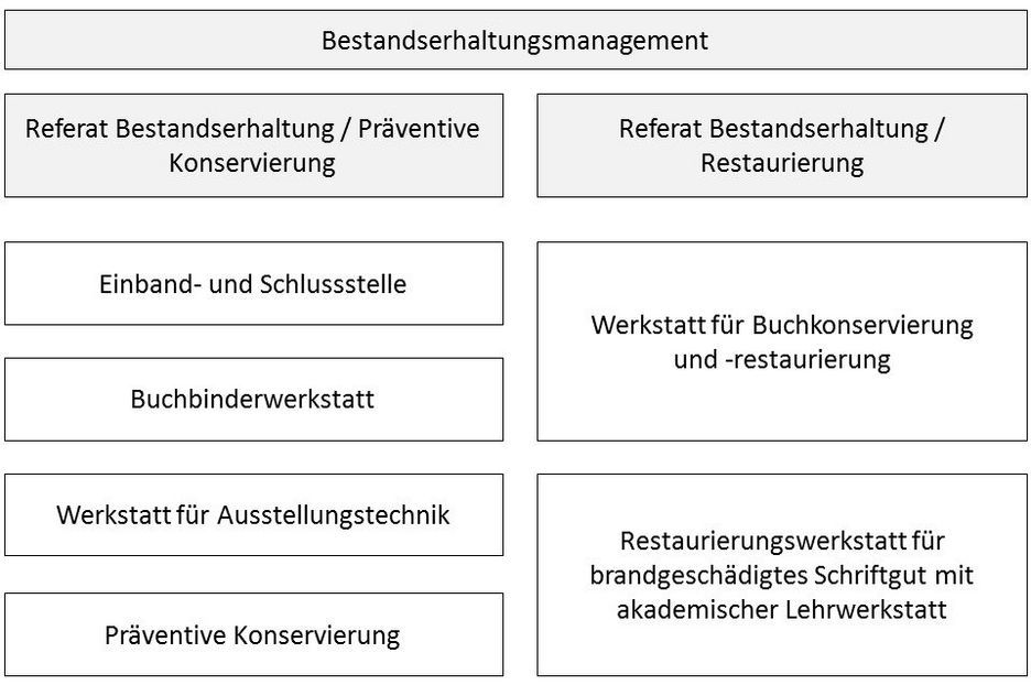 Structure of the conservation department at the Herzogin Anna Amalia Bibliothek
