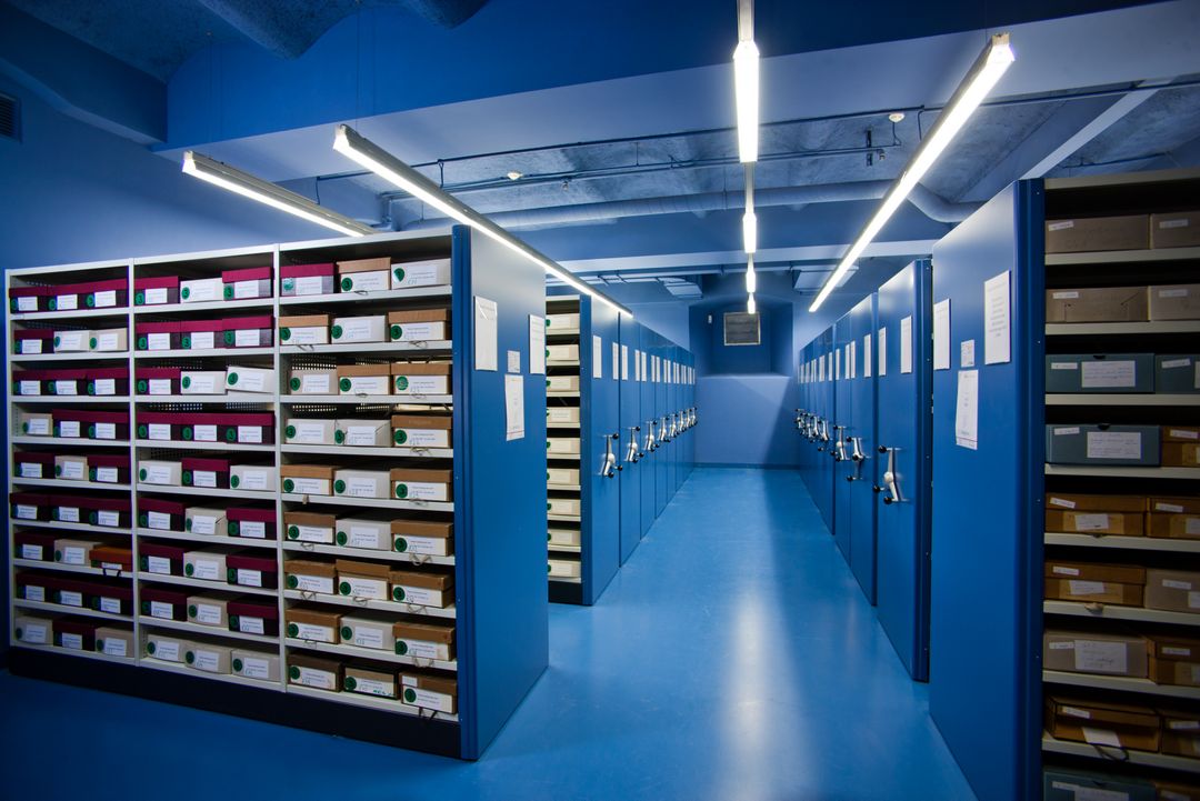 Einblick in die neuen Magazinräume