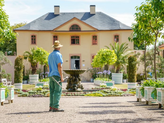 Gärtner am Delphinbrunnen der Orangerie Belvedere
