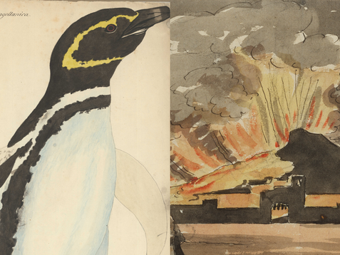 Eine Collage aus einem Pinguin und einem Feuerspuckendem Vulkan