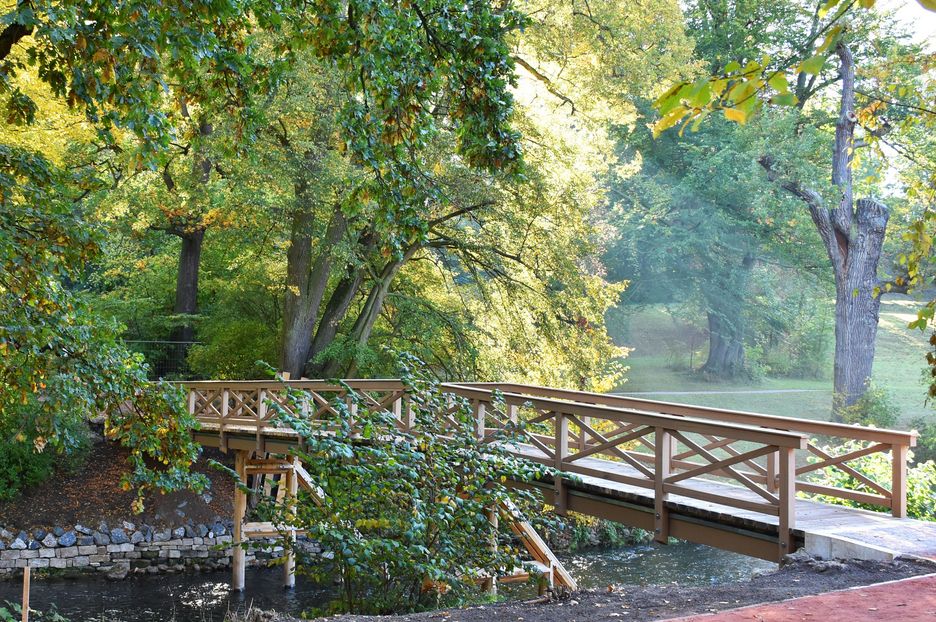 Die neu gebaute Salonbrücke im Tiefurter Park