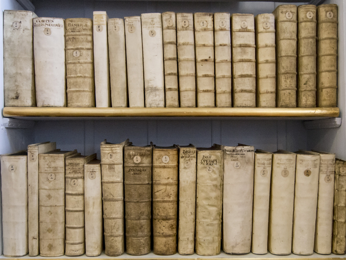 Bücherregal im Rokokosaal 