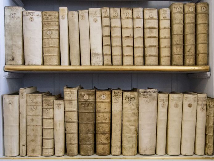 Bücherregal im Rokokosaal 