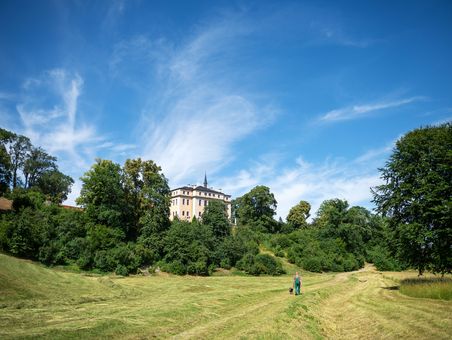 South view of the landscaped park and castle