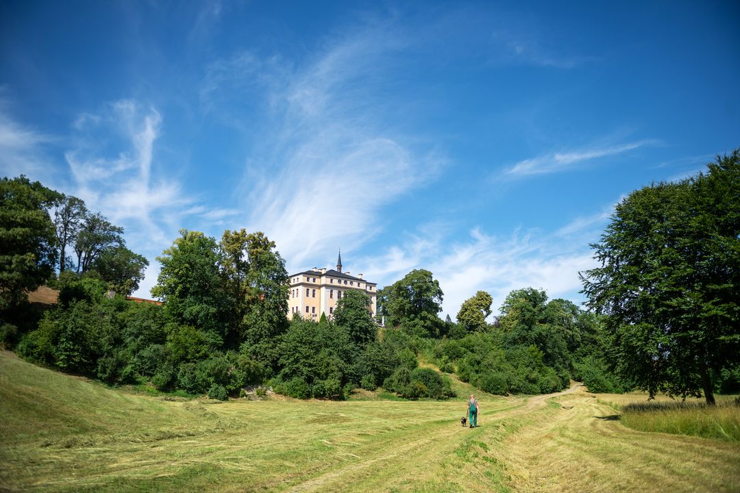 South view of the landscaped park and castle