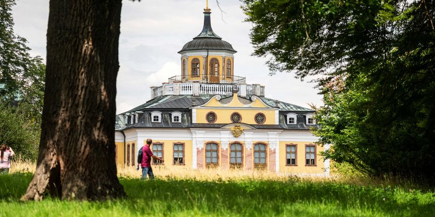 Im Schatten der Bäume am Schloss Belvedere