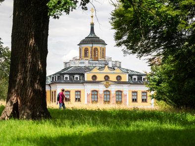 Im Schatten der Bäume am Schloss Belvedere