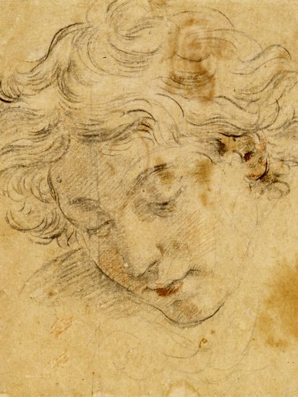 Bildnr. I/24: Guido Reni (1575–1642), Studie zu einem jugendlichen Kopf, um 1625/1636, schwarze, rote und weiße Kreide und Pinsel in Rot und Schwarz
