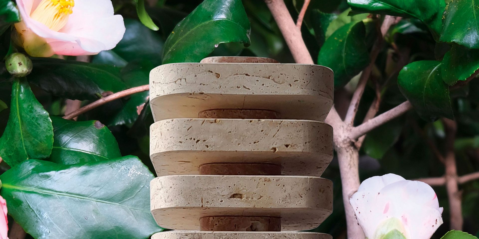 Skulptur aus Travertin, 43 x 24 x 24 cm, steht zwischen Kamelien, die blühen