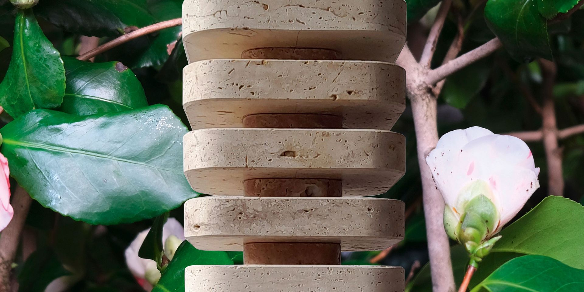 Skulptur aus Travertin, 43 x 24 x 24 cm, steht zwischen Kamelien, die blühen