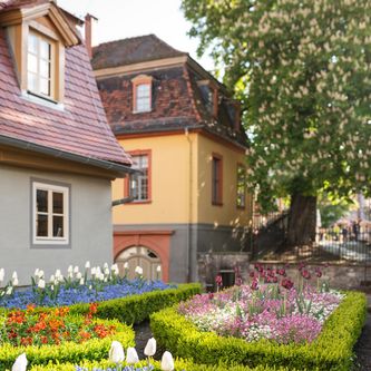 Ansicht auf den Garten des Wittumspalais
