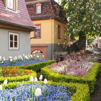 Ansicht auf den Garten des Wittumspalais