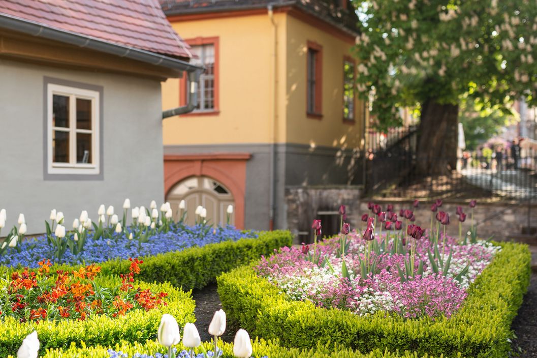 Ansicht auf den Garten des Wittumspalais