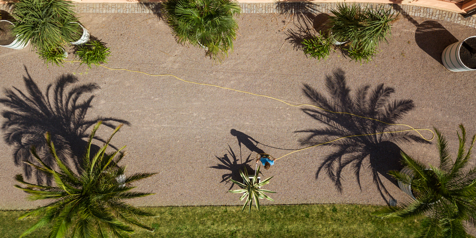 Ein Gärtner gießt die Palmen an der Orangerie Belvedere