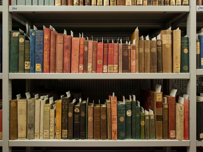 Zu sehen sind zwei Regalbretter, auf denen alle Bücher stehen, deren Gewebeneinbände Hitze- und Löschwasserschäden aufweisen. Das Bild zeigt den Zustand der Bücher nach der Restaurierung 