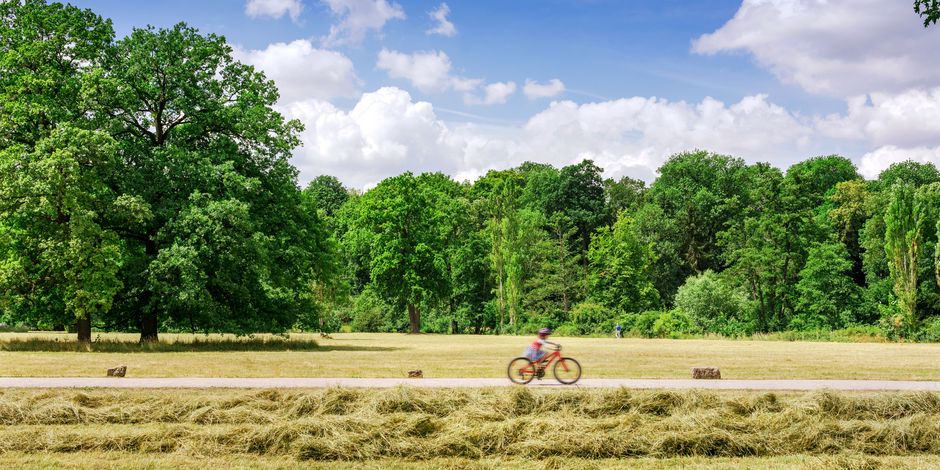 Ein Kind fährt auf einem Fahrrad an einer Wiese nach der Mahd vorbei.