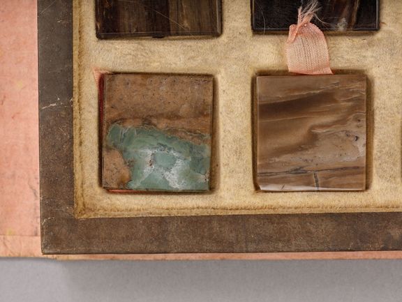 Collection of silicified woods in the original box