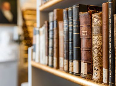 Books at the Rococo Hall of the Herzogin Anna Amalia Bibliothek