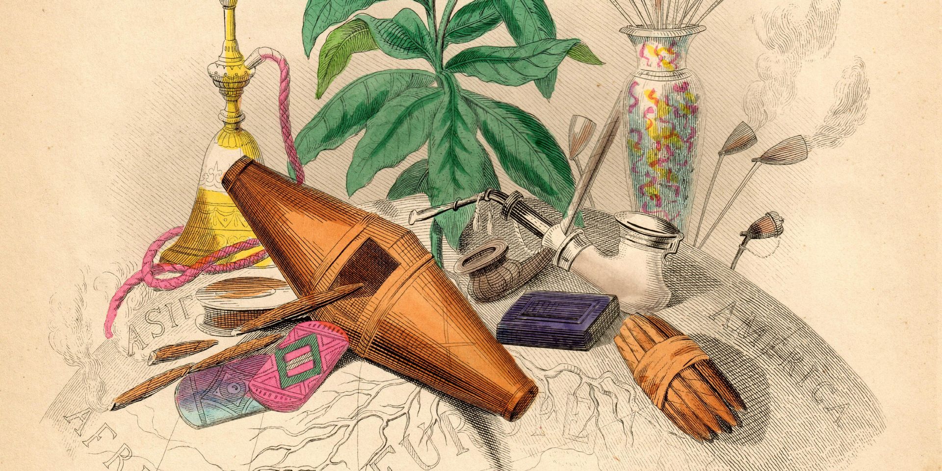 Zeichnung einer Tabakpflanze und Utensilien zum Rauchen