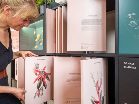 Einblick in den Belvederer Pflanzenkatalog mit 7900 Pflanzenarten