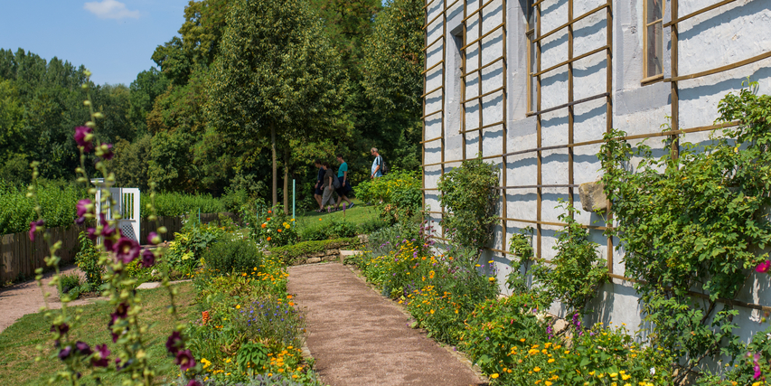 Blick entlang des Gartenhauses in den Garten