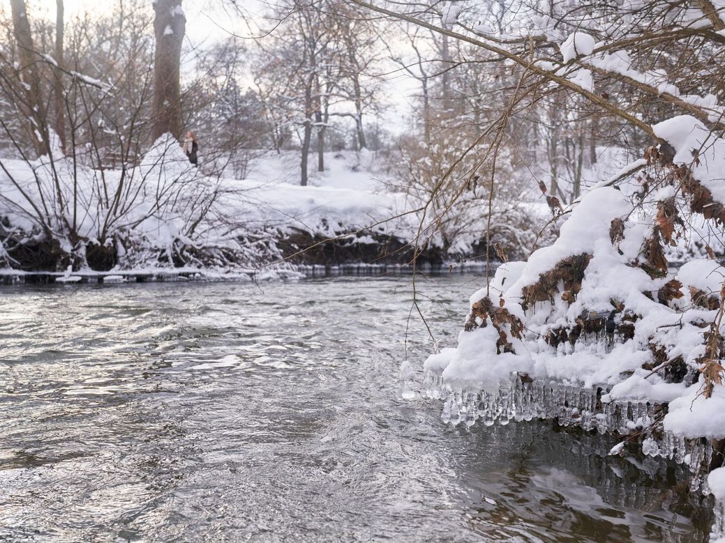 Blick auf den eingeschneiten Fluss Ilm in Weimar