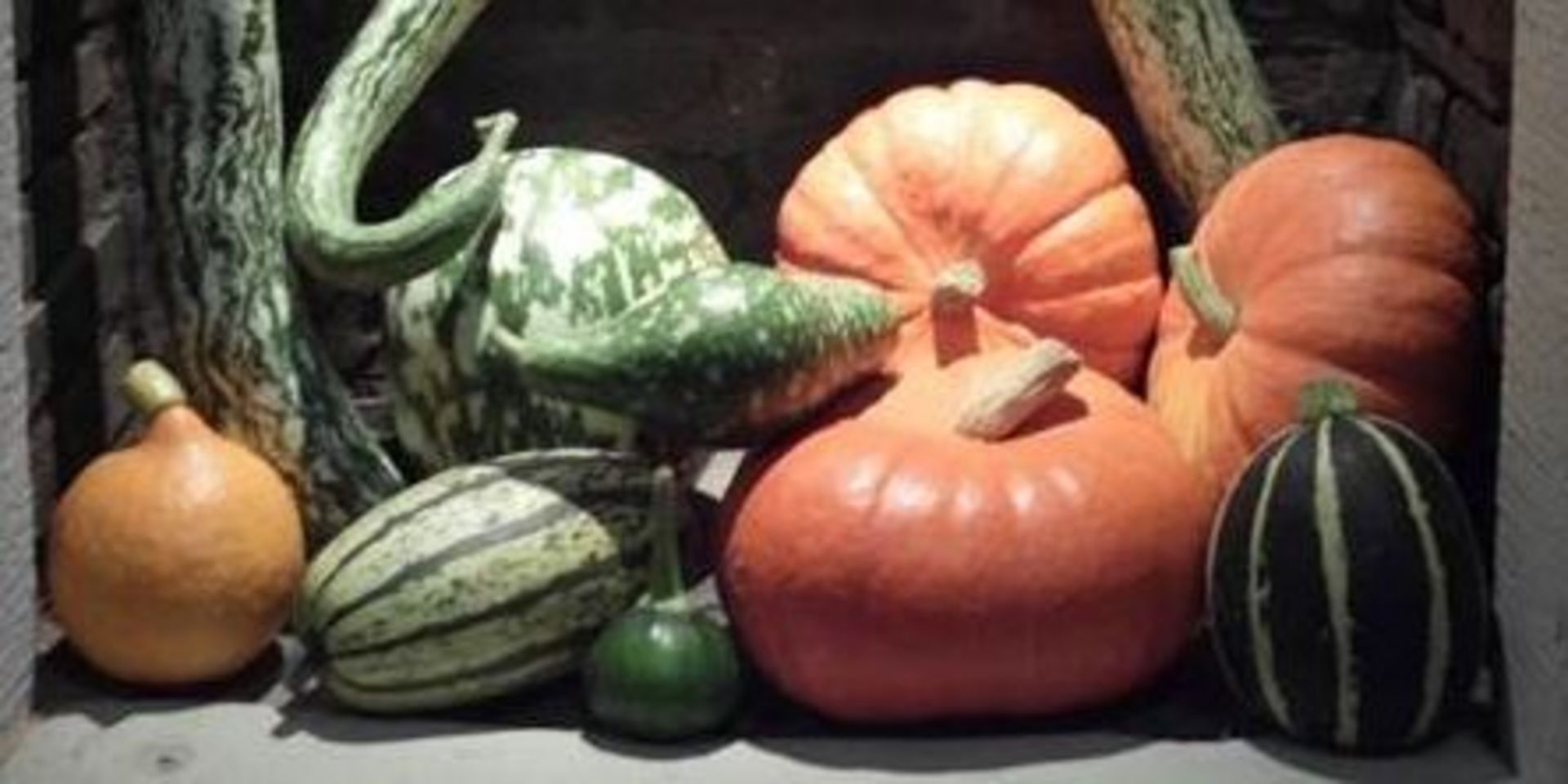 Sonderausstellung im Gärtnerwohnhaus der Orangerie Belvedere