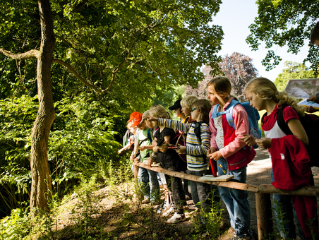 Kinder stehen aufgereiht an einem Holzgeländer in einer Waldkulisse