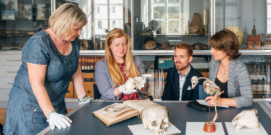 Mitarbeiter der Klassik Stiftung Weimar studieren einen Tierschädel.