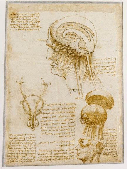  Leonardo da Vinci, Manuskriptblatt mit anatomischen Zeichnungen und Notizen, 1506/08, Feder in Braun 