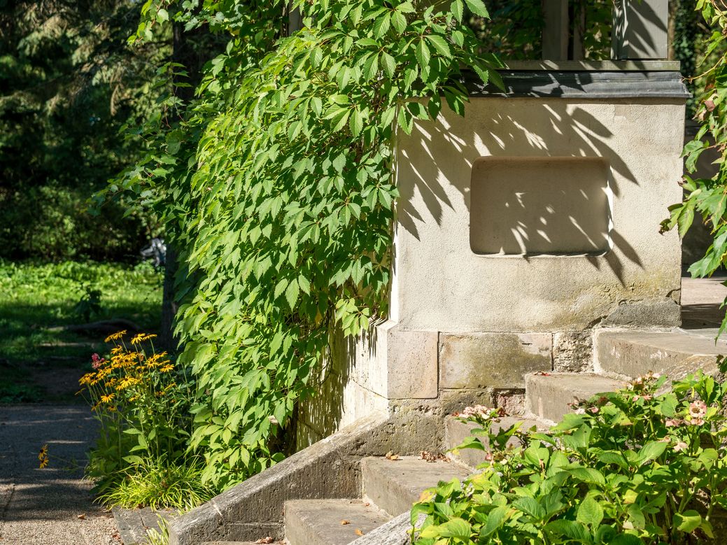 Der weinumrankte Aufgang zur Terrasse